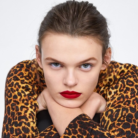 Zara Léopard Print Knit Sweater - Picture 3 of 5